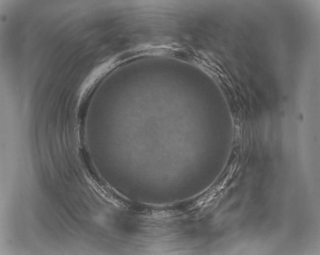 X0000068840149200605051310