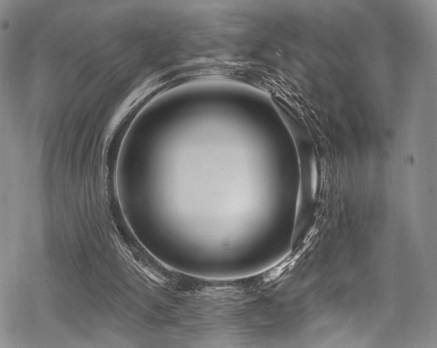 X0000068840150200605051310