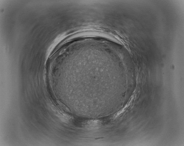 X0000068840152200605051310