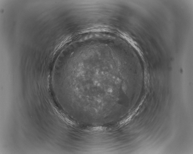 X0000068840153200605051310