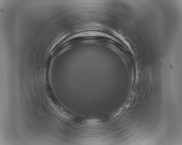 X0000068840154200605051310