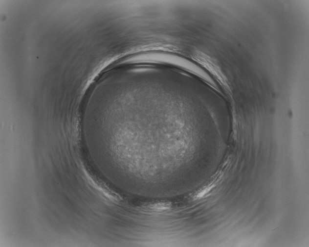 X0000068840156200605051310