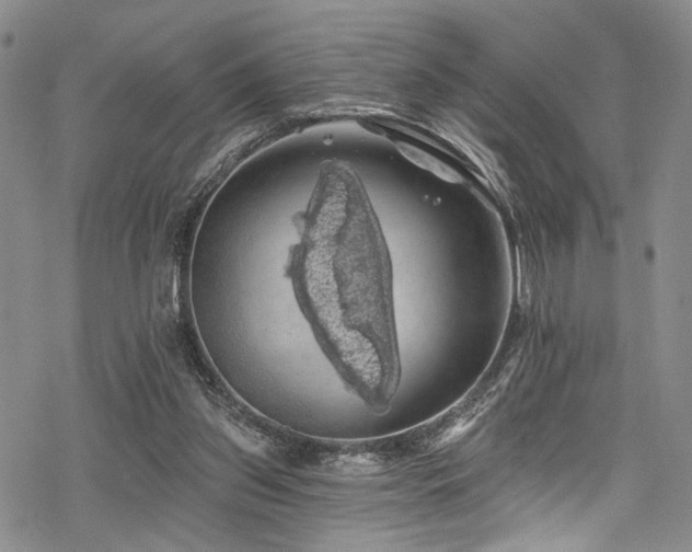 X0000068840157200605051310