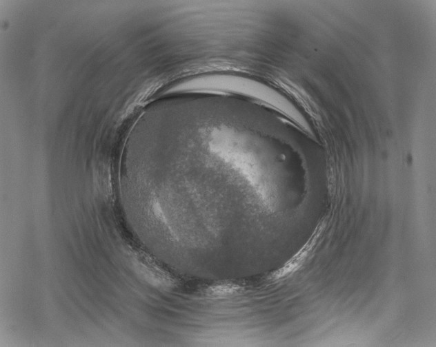 X0000068840158200605051310