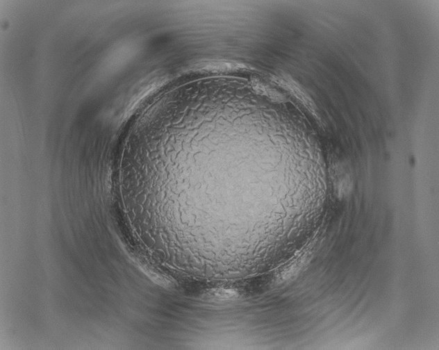 X0000068840159200605051310