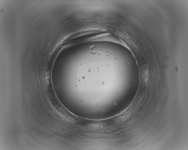 X0000068840160200605051311