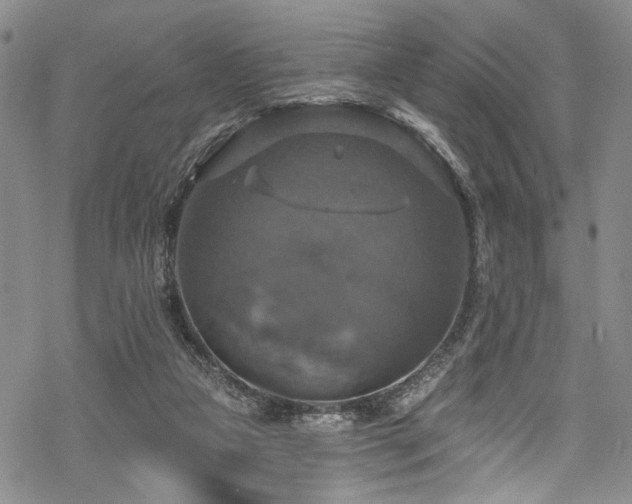 X0000068840161200605051311