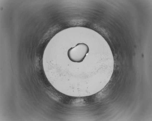 X0000068840162200605051311