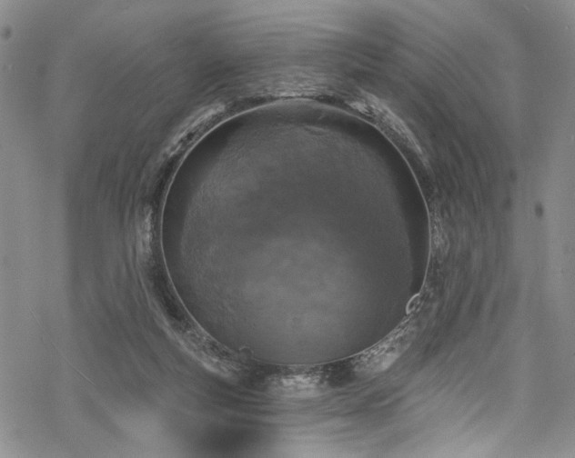 X0000068840163200605051311