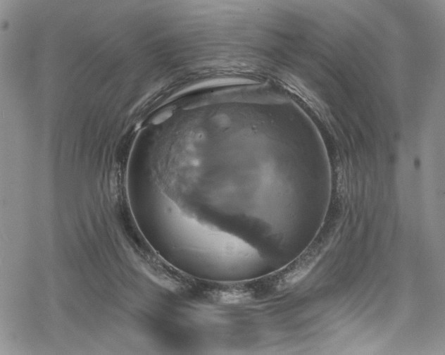 X0000068840165200605051311