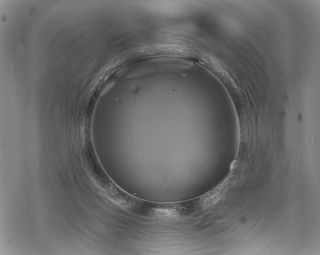 X0000068840167200605051311