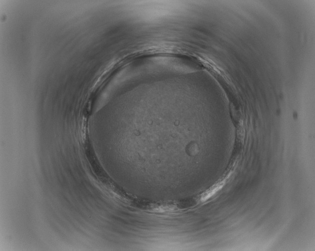 X0000068840168200605051311