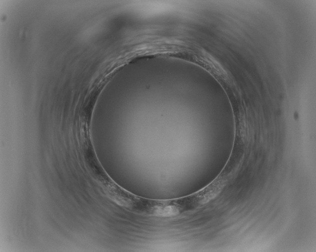 X0000068840169200605051311