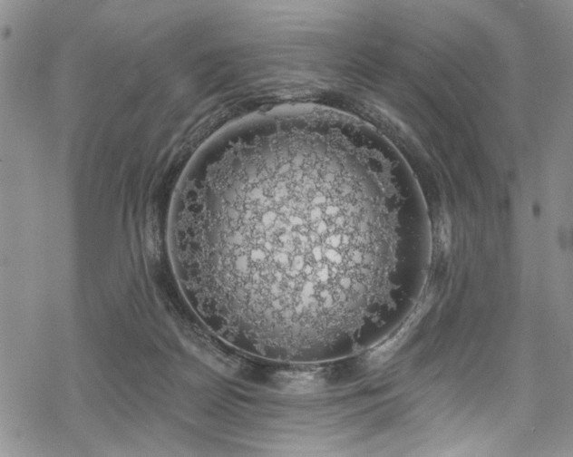 X0000068840170200605051311