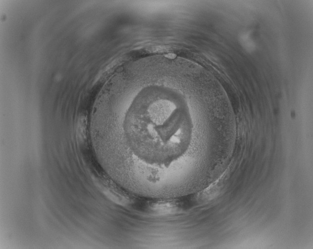 X0000068840171200605051311