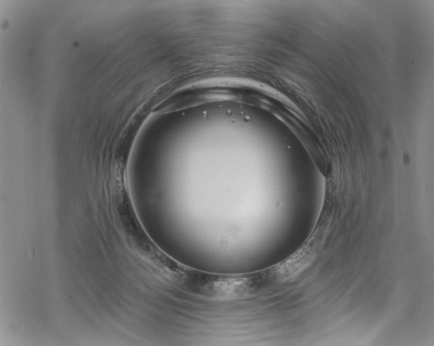 X0000068840172200605051311