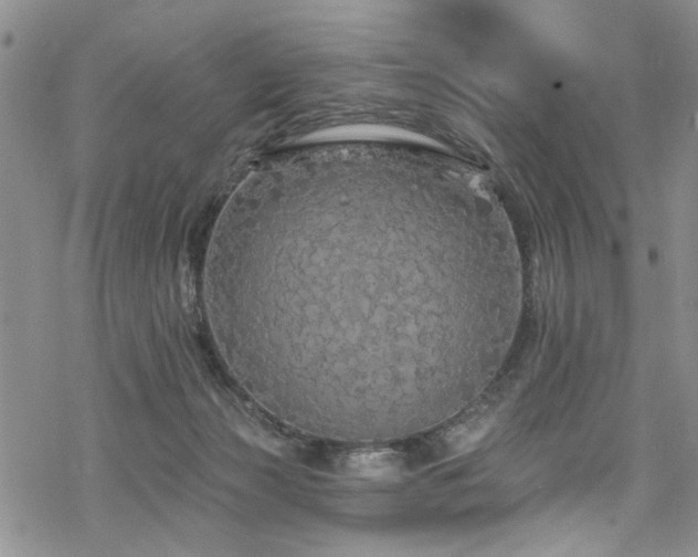 X0000068840173200605051311