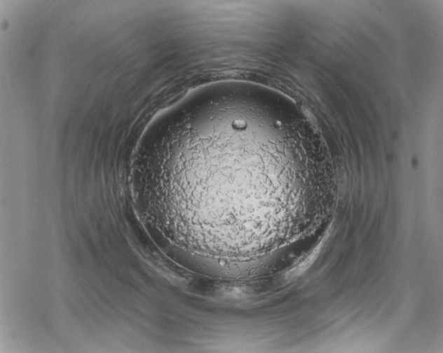 X0000068840174200605051311