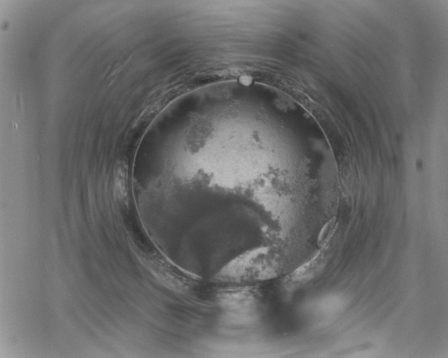 X0000068840175200605051311