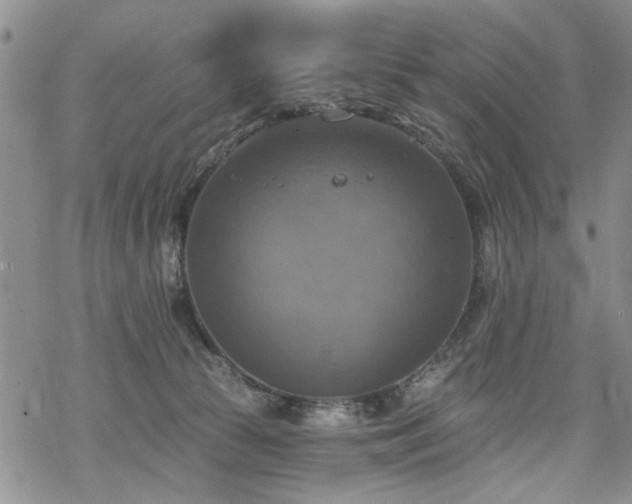 X0000068840177200605051311