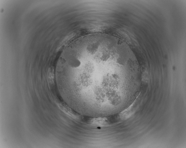 X0000068840179200605051311