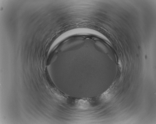 X0000068840180200605051311