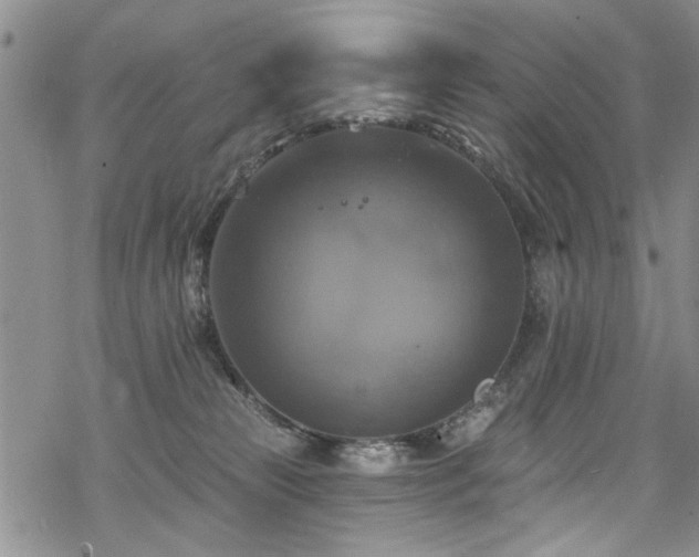 X0000068840181200605051311