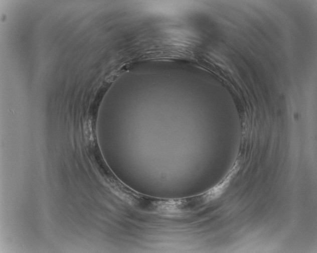 X0000068840182200605051311