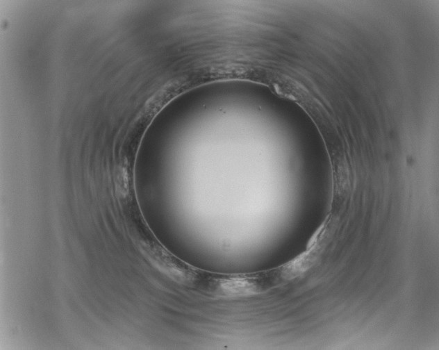 X0000068840183200605051311