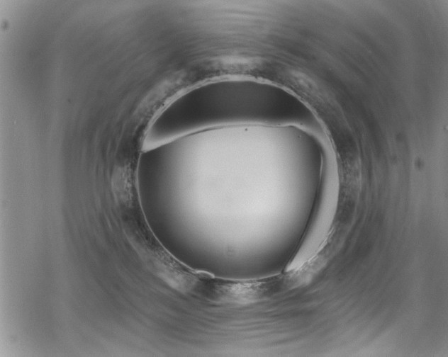 X0000068840184200605051311