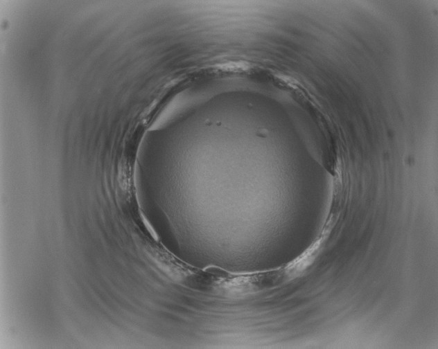 X0000068840186200605051311