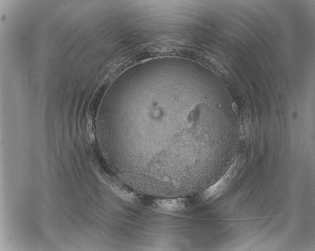 X0000068840187200605051311