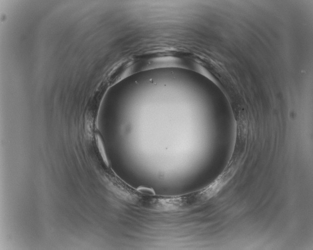 X0000068840188200605051311