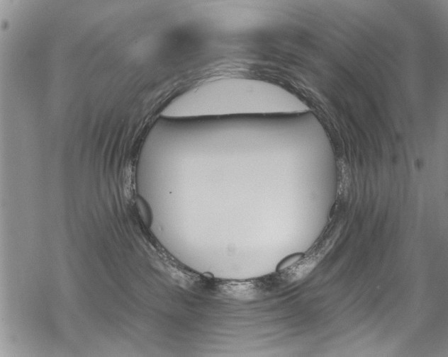 X0000068840189200605051311