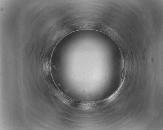 X0000068840190200605051311