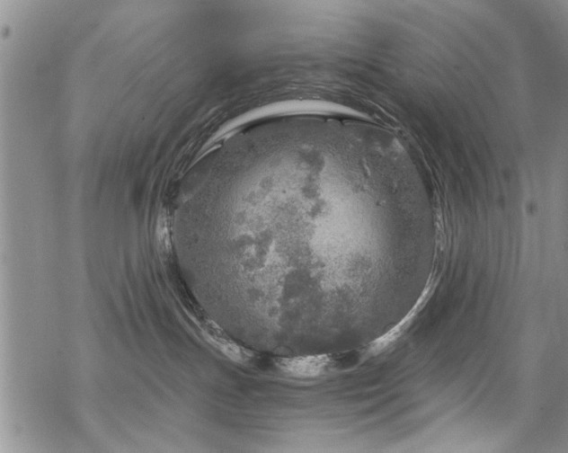 X0000068840191200605051311