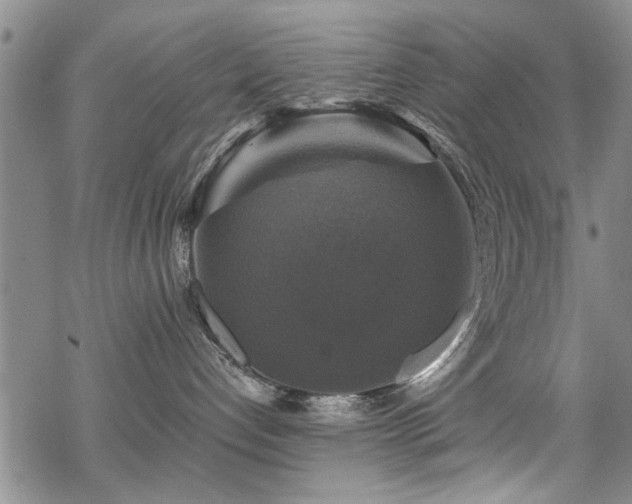 X0000068840192200605051311