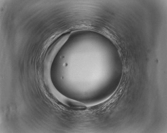 X0000068840193200605051310