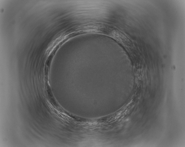 X0000068840194200605051310