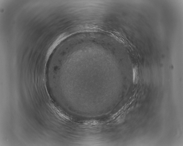 X0000068840195200605051310