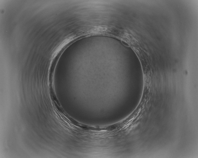 X0000068840196200605051310