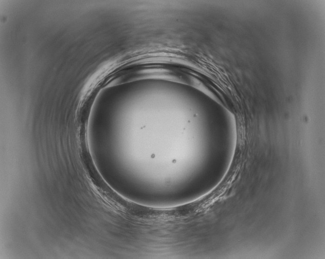 X0000068840197200605051310