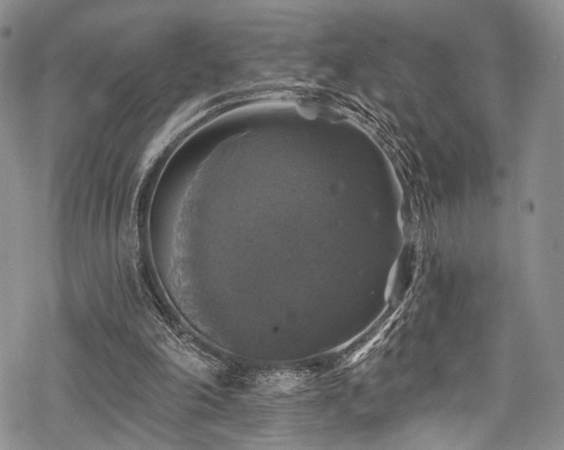 X0000068840198200605051310