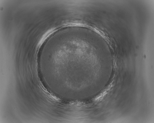 X0000068840199200605051310