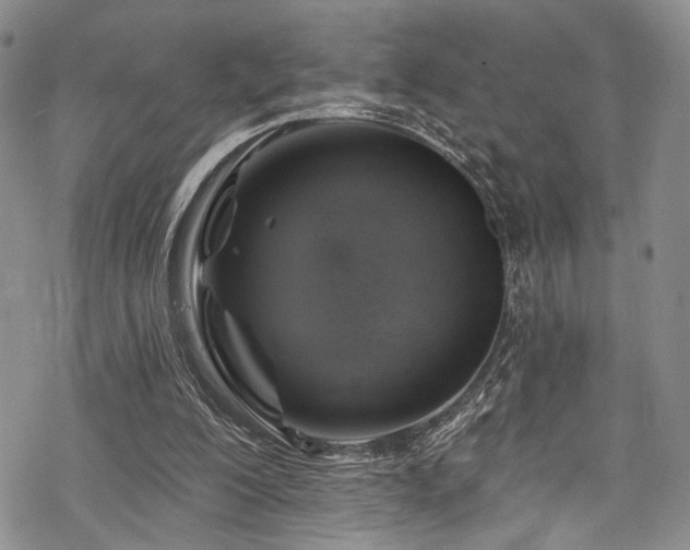 X0000068840200200605051310