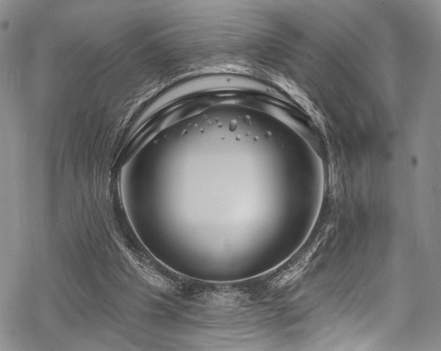 X0000068840201200605051310