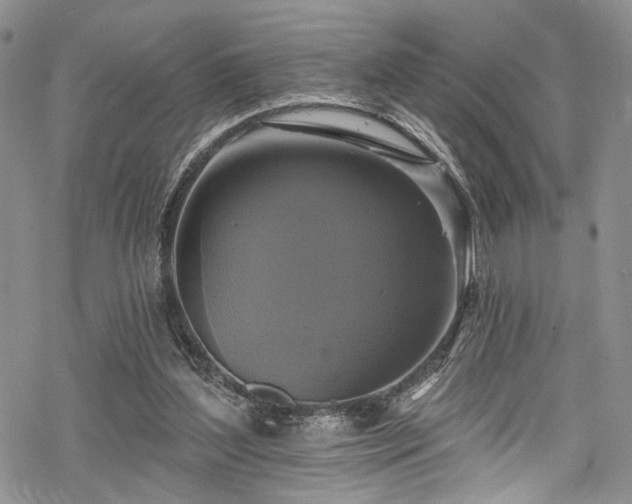 X0000068840204200605051310