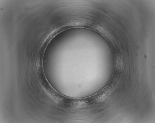 X0000068840208200605051310