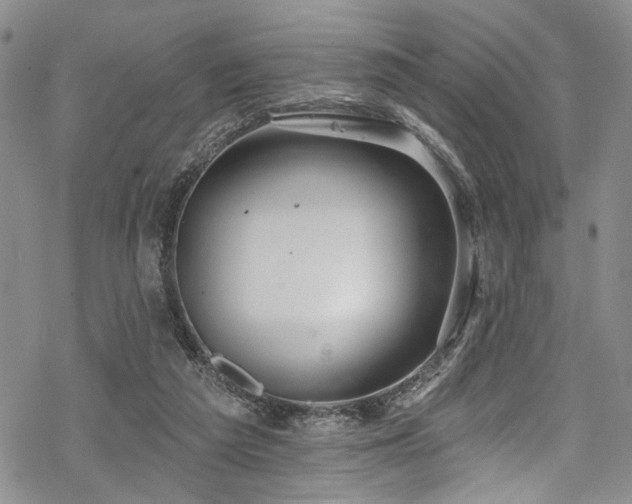 X0000068840209200605051310