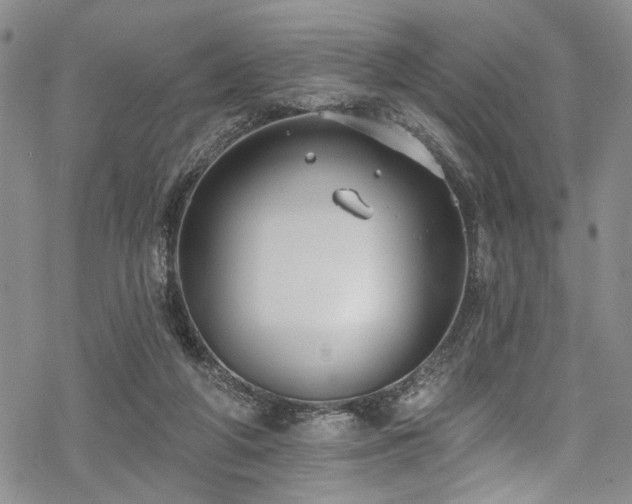 X0000068840210200605051310